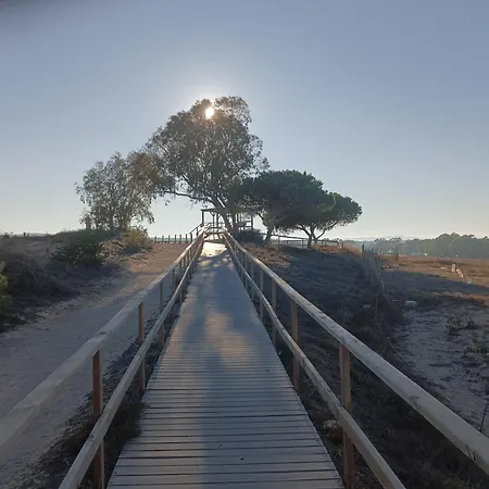 Bonito 150 M De La Playa La Mata La Mata (Torrevieja)