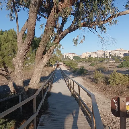Apartment Bonito 150 M De La Playa La Mata La Mata (Torrevieja)