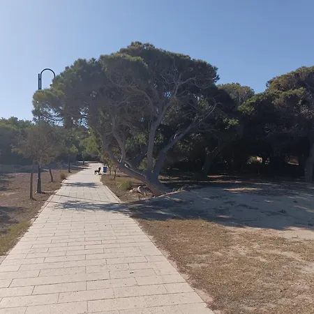 Bonito 150 M De La Playa La Mata La Mata (Torrevieja)